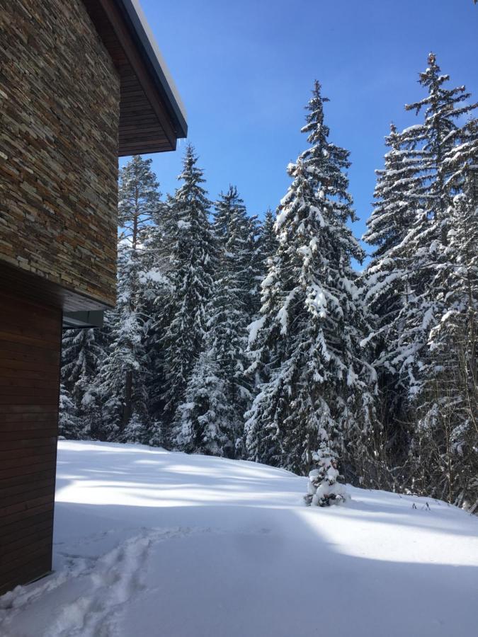 Borovets Chalets Luaran gambar