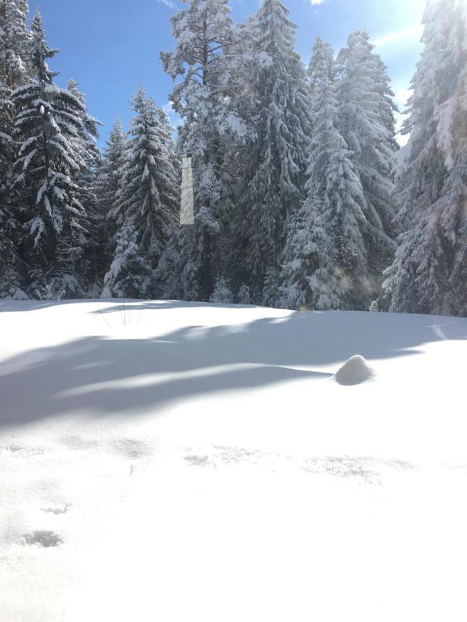 Borovets Chalets Luaran gambar