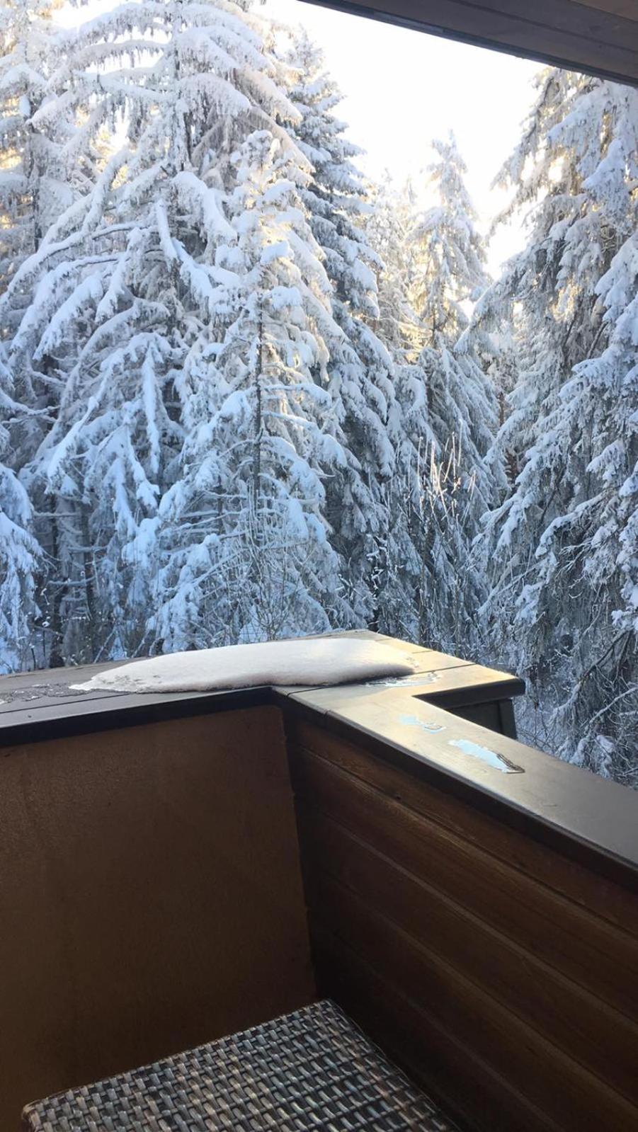 Borovets Chalets Luaran gambar