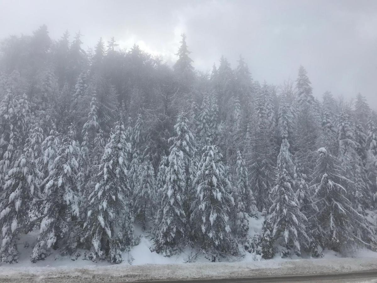 Borovets Chalets Luaran gambar